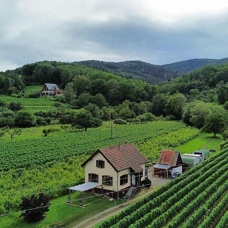 Dandelion Bed & Breakfast Ribeauvillé Εξωτερικό φωτογραφία