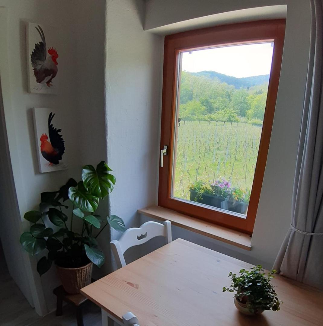 Dandelion Bed & Breakfast Ribeauvillé Εξωτερικό φωτογραφία